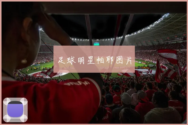 足球明星帕耶图片