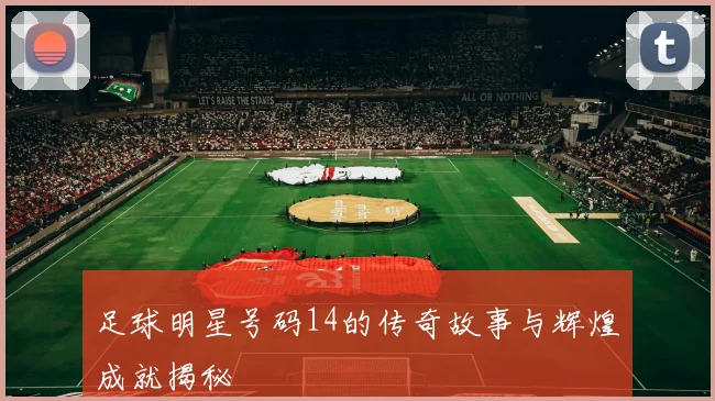 足球明星号码14的传奇故事与辉煌成就揭秘