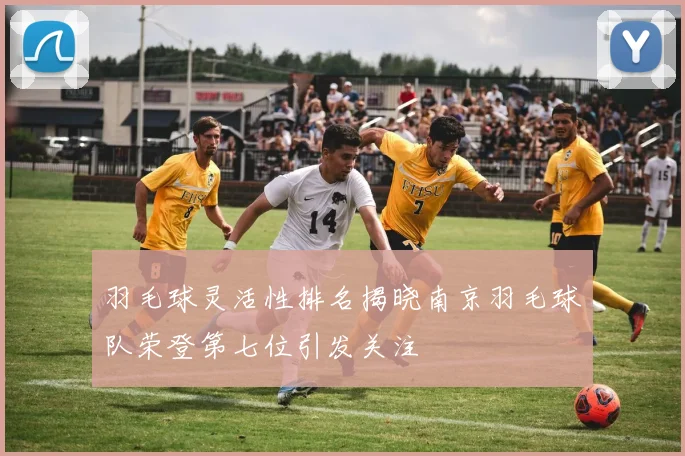 羽毛球灵活性排名揭晓南京羽毛球队荣登第七位引发关注