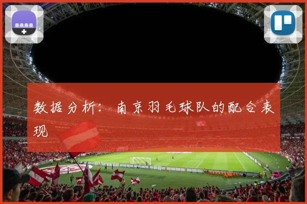数据分析：南京羽毛球队的配合表现