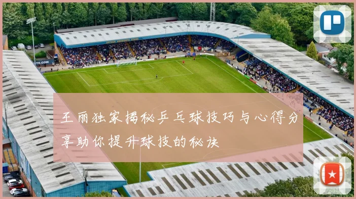 王丽独家揭秘乒乓球技巧与心得分享助你提升球技的秘诀