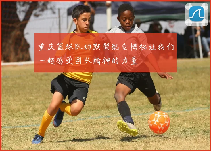 重庆篮球队的默契配合揭秘让我们一起感受团队精神的力量