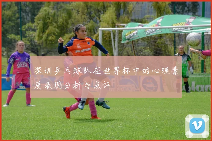 深圳乒乓球队在世界杯中的心理素质表现分析与点评