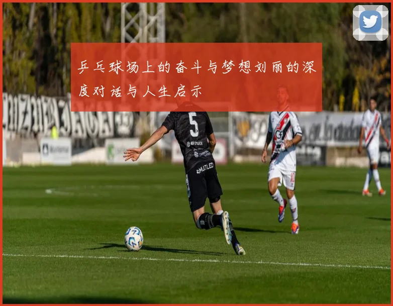 乒乓球场上的奋斗与梦想刘丽的深度对话与人生启示