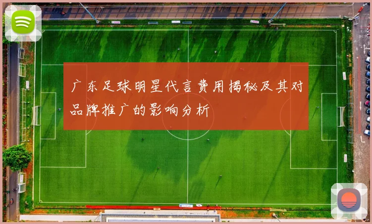 广东足球明星代言费用揭秘及其对品牌推广的影响分析