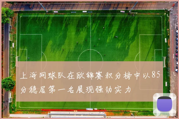 上海网球队在欧锦赛积分榜中以85分稳居第一名展现强劲实力