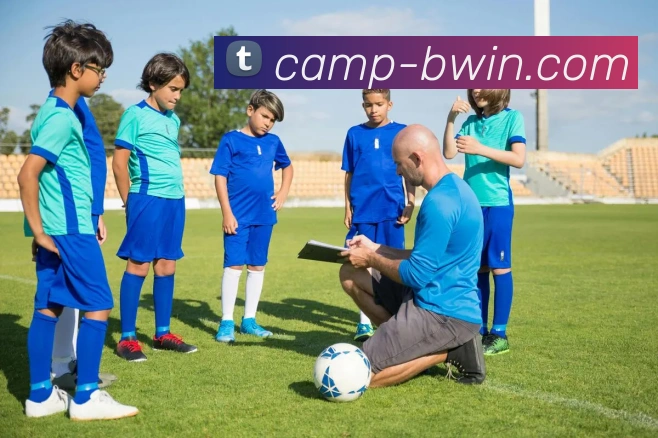 必赢平台生态图